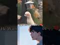 This Puppy's Heartbreaking Struggle for Peace #shorts #emotional #dogs