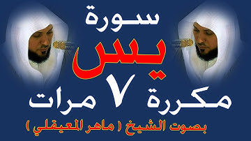 سورة يس مكررة 7 مرات ( سبع مرات )  Surat Yassin is repeated seven times
