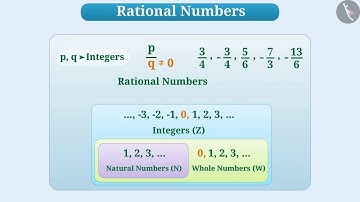 An Introduction to Rational Numbers | Part 1/3 | English | Class 7