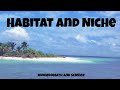 Habitats And Niches In Ecology And The Galapagos Islands