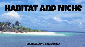 Difference between habitat and niche - ecology