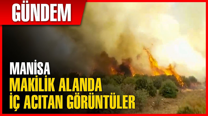 Manisa'da Badem Ağaçlarının Bulunduğu Makilik Alan Yandı  | Son Dakika Haber