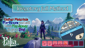 How to use Infinite Inventory, Palia Tricks and Tips