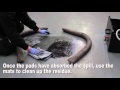 Spill kit demo