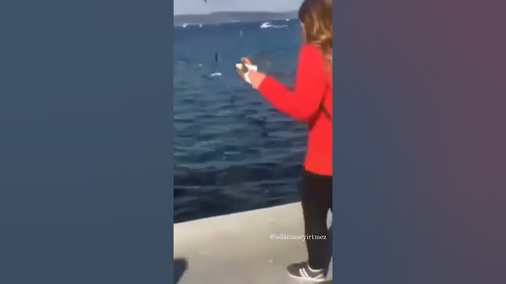 Bu aralar benim dalgınlık seviyesi max