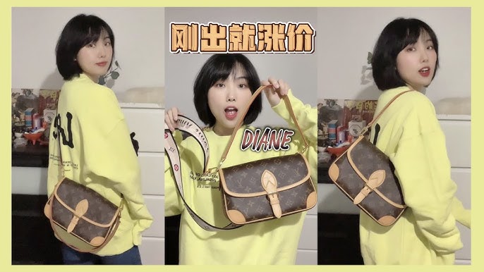 LV Diane Bag - Kaialux