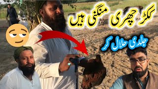 Koker Churi Mgni Hy Saraiki Shahzad