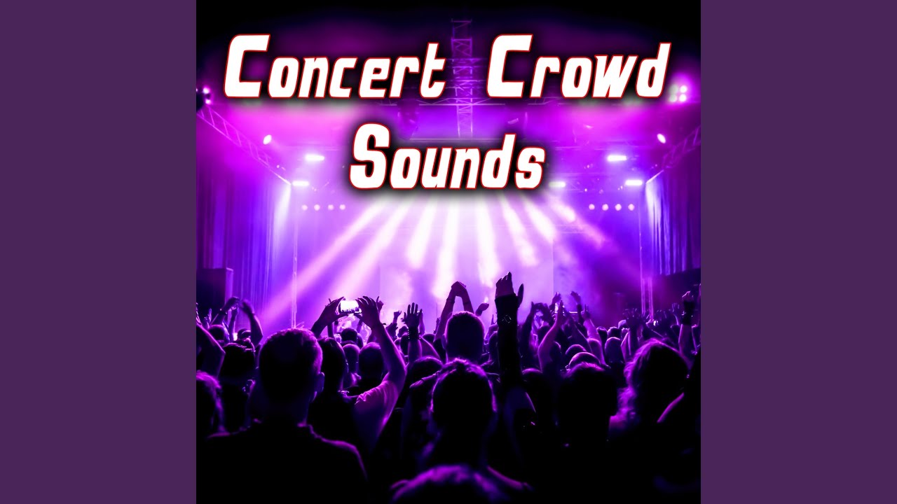 Large Outdoor Concert Crowd 1