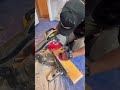 #hardwoodfloors Repair. #diyhome #home #diy #flooring #interiordesign #timelapse #qualityflooring
