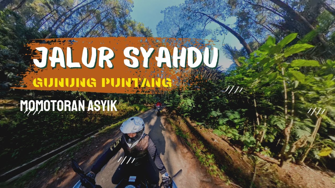 MOMOTORAN SANTAI KE GUNUNG PUNTANG BANDUNG ‼️ NGOPI DI TAMAN KOPI GUNTANG TERBARU 2025