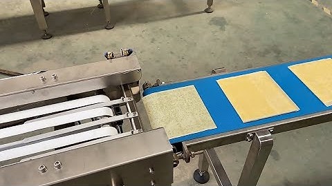 Spring Roll & Samosa Wrapper Machines - Successful Pre-Shipment Testing!