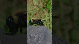 🫡🙌✨️#photography #animales