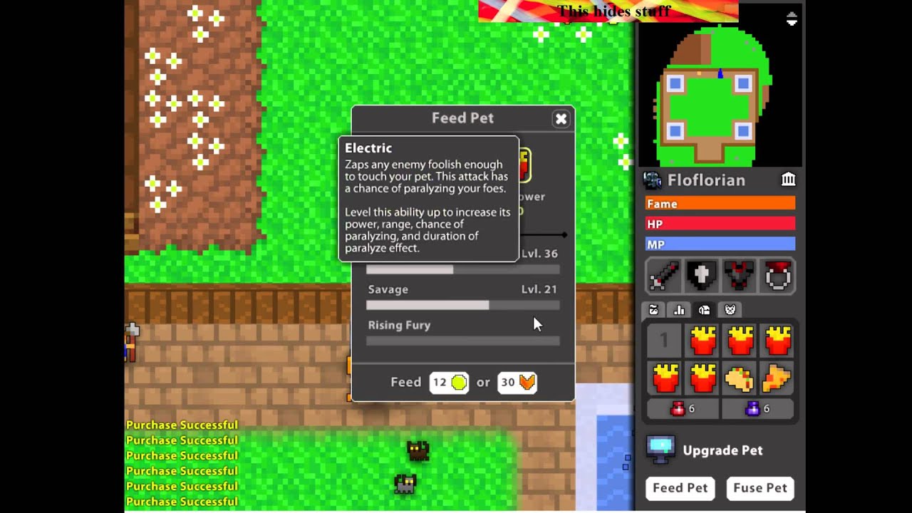 60-fps-rotmg-floflorian-feeding-my-pet-part-9-i-simply-failed