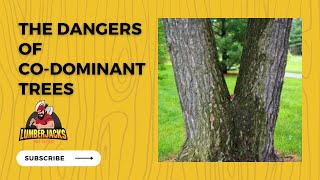 The Dangers of Co-dominant Trees