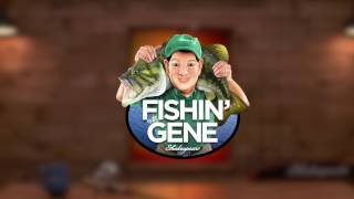 Catfish Seasons: How to Fish for Catfish throughout the Year