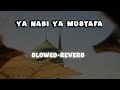 Ya nabi ya mustafa  new naat sharif  slowed reverb  tabrej official 313