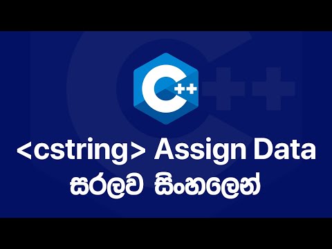 C++ Basics: CStrings - Assign Data