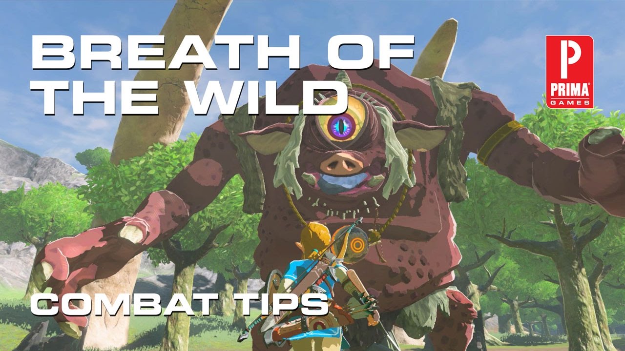 Zelda: Breath Of The Wild - 9 top tips for a good start