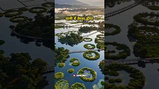 क्या आपने पानी में तैरता द्वीप देखा है? 😱 | Loktak Lake