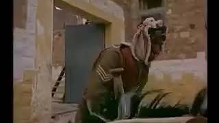 قوات البادية الملكيه عام 1966رم عمر الشرعه