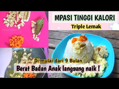 Mpasi Tahu Tempe 9 Bulan