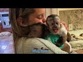 Monkey Toby is happy to see his friend and little guest that he loves and she loves him too 😊❤️🐒🐒😍