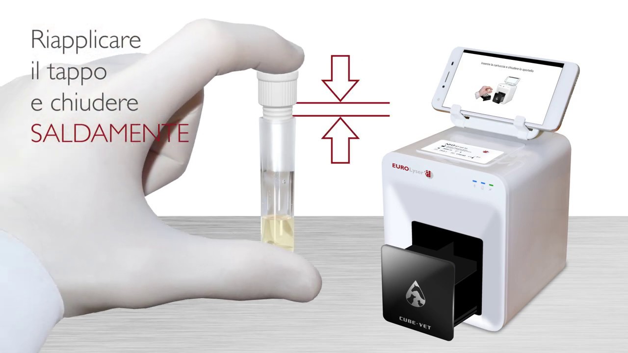 Ammonio con Cube-Vet