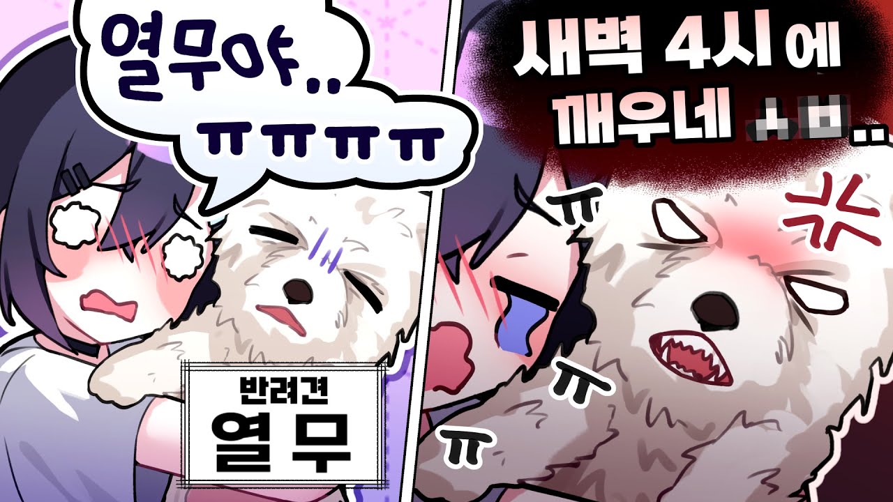 동물보호단체 여러분 여기예요 [아리사 핫클립]