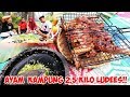 Ayam Bakar Taliwang Bikin Ngences Semua Orang! FULL SQUAD!!