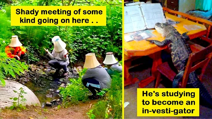 “I Want To Leave” Hilarious Pics And Weird | Happy Bears #93