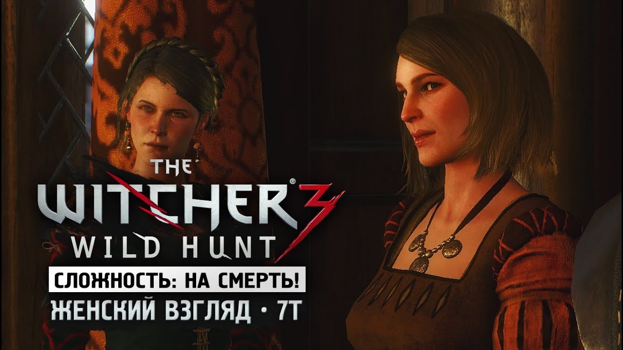 Ведьмак 3 картина ван дер хууя