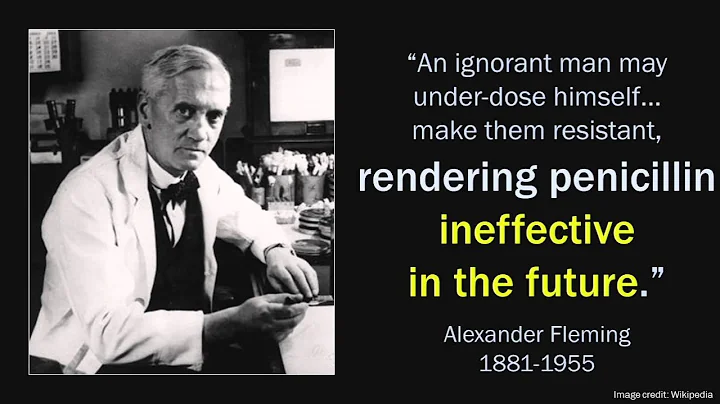 Antibiotic Resistance: A Public Health Crisis | Victoria J. Fraser, MD | TEDxStLouisWomen