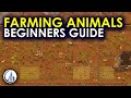 Taming animals for your colony  rimworld ultimate beginners guide for 2024