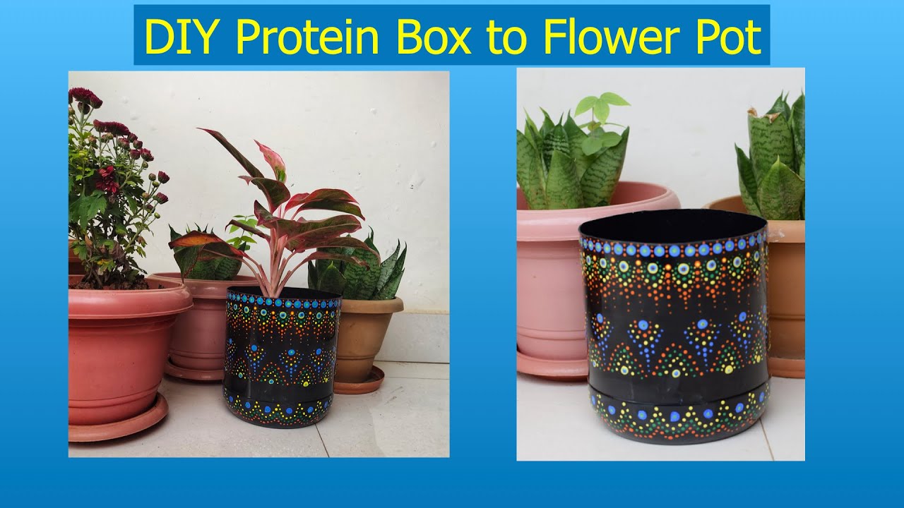 DIY Upside-Down Hanging Planter with Protein Powder Container – Crazy Beets