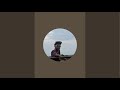 Ashtone Mambo is live