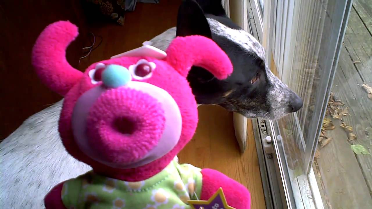 Jack the Dog and SingamaJig YouTube