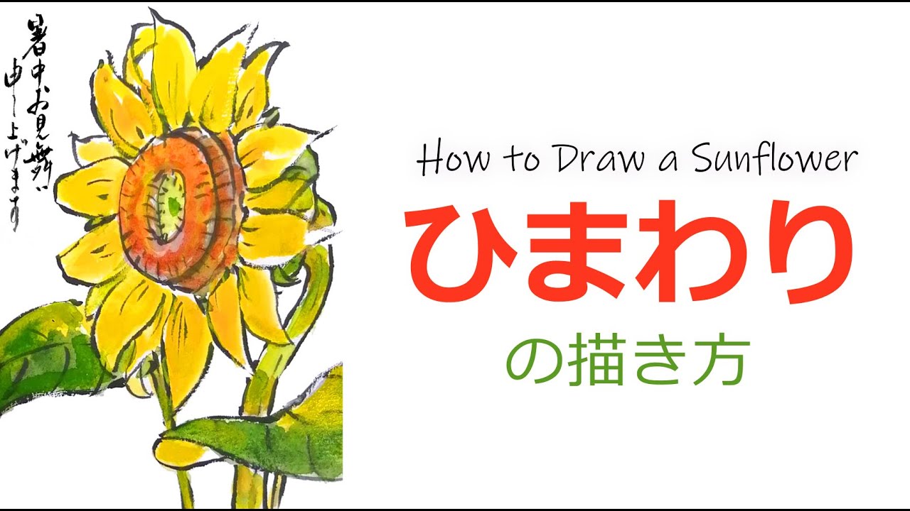 向日葵の描き方 無料動画 暑中見舞い 残暑見舞い 夏の絵手紙 花の描き方 絵手紙教室くぼ田