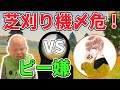 【荒野行動】ついにこの時が来た…　芝刈り機危！VSピーマン嫌い