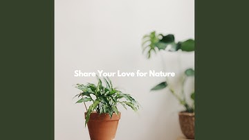 Inspired Backdrops for Soft Afternoon