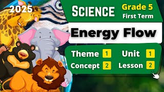 Energy Flow | Grade 5 | Unit 1 - Concept 2 - Lesson 2 | Science