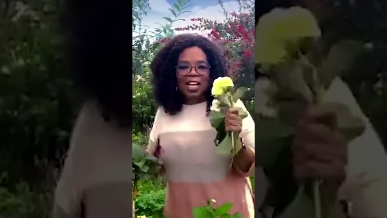 Oprah Winfrey Lifestyle | Net Worth, Fortune, Car Collection, Mansion