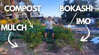 I tried growing potatoes in 4 different soils