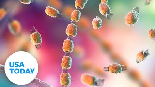 Valley fever: What to know about the infection and its climate change connection | USA TODAY