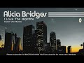 Alicia Bridges I Love The Nightlife Cesar Vilo Remix mp3