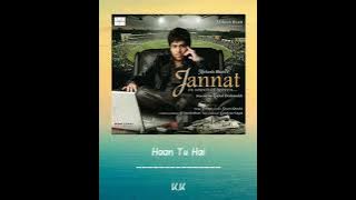Terjemahan Haan Tu Hai ost Jannat || K.K || Pritam
