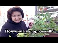 Распаковка посылки! А что дальше???