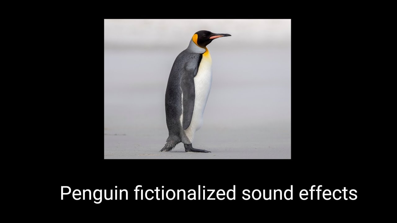 All Penguin fictionalized sound effects. 
