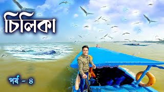 CHILIKA TOUR. চিলিকা লেক ভ্রমন। অনেকগুলি ডলফিন    একসাথে দেখতে পেলাম। PURI TOUR. CHILKA LAKE.