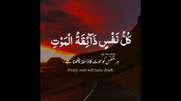 ماتيسر_من_سورة_العنكبوت | عبدالرحمن_مسعد