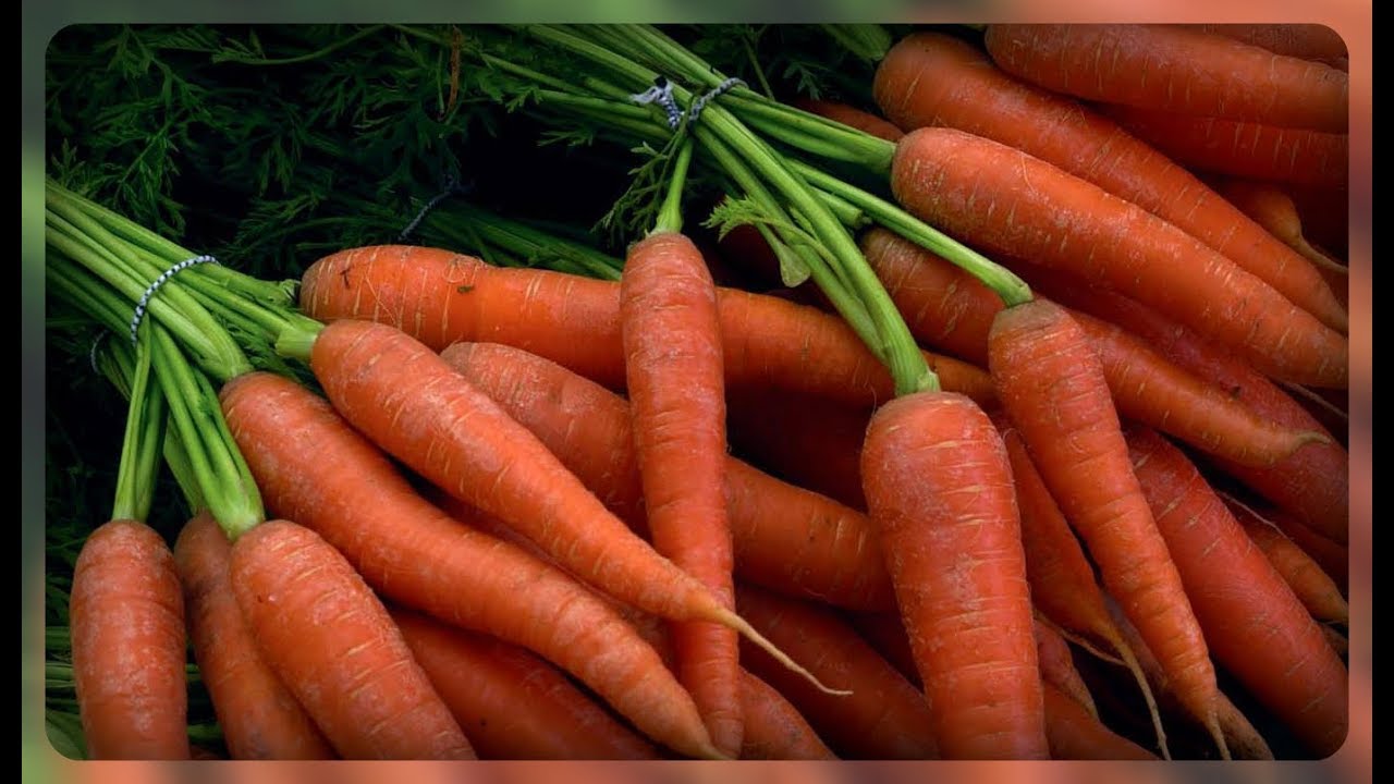 Переваги використання нашатирного спирту для моркви: